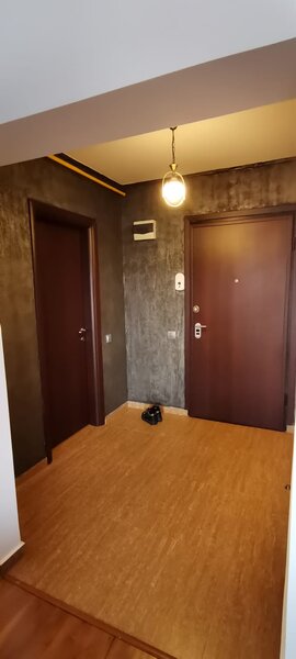 Pajura Metrou Jiului,